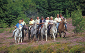 chambres d'hôtes la bigue Gerbier de Jonc ardèche cheval âne chambres d'hôtes la bigue Gerbier de Jonc ardèche cheval ane